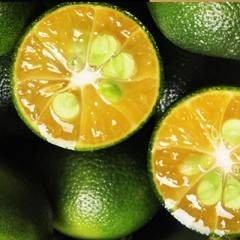 Vinagre de pulpa de Kalamansi 25 cl