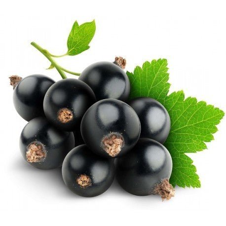Cassis - 325g - La Dommoise