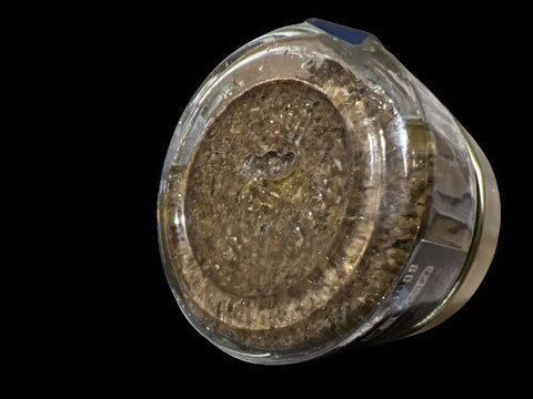 Tartinade à la truffe noire (tuber melanosporum) 3% - 80g - La Dommoise
