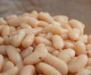 Beans cooked in goose fat 600g jar